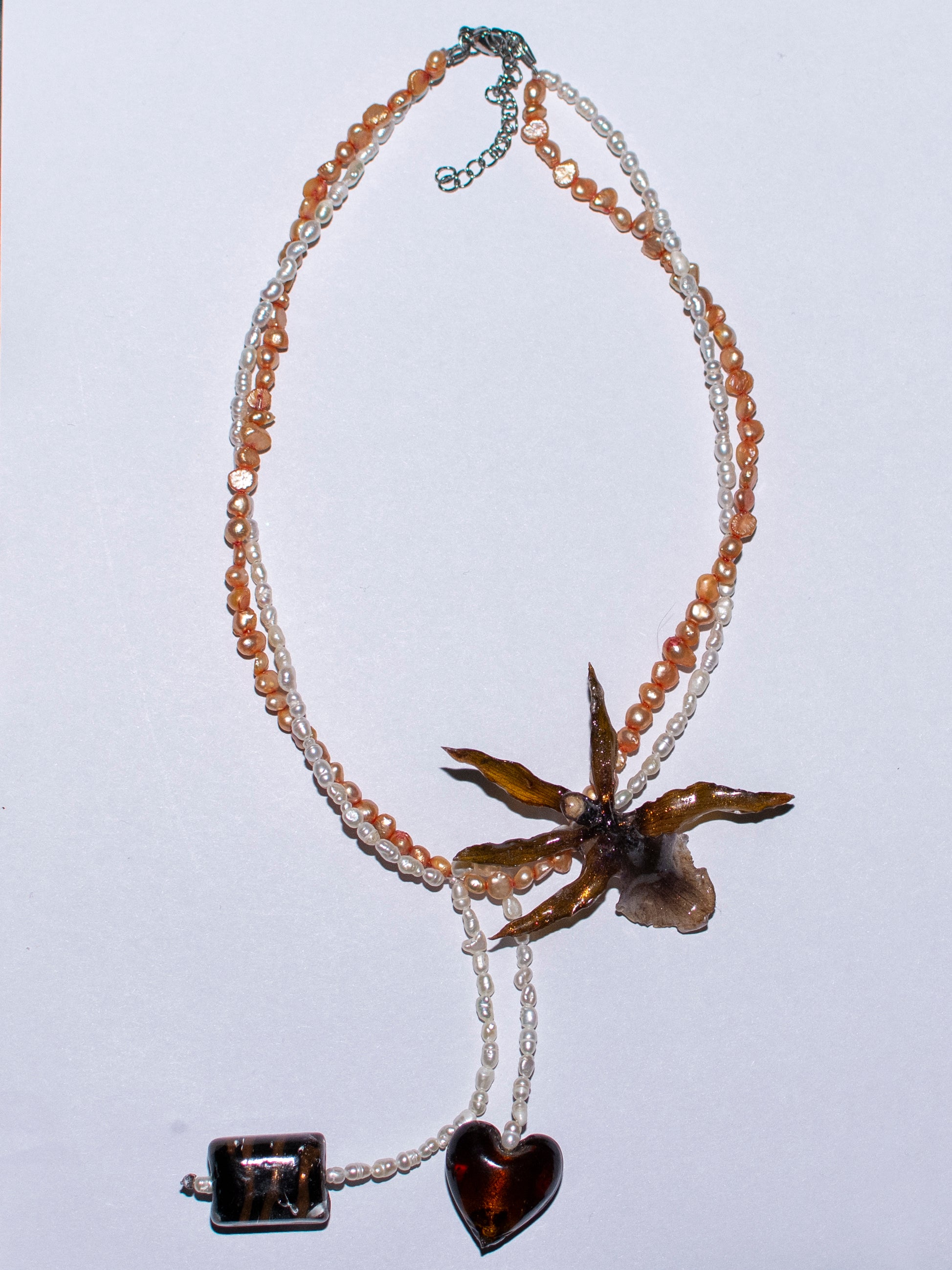Brown exotic orchid