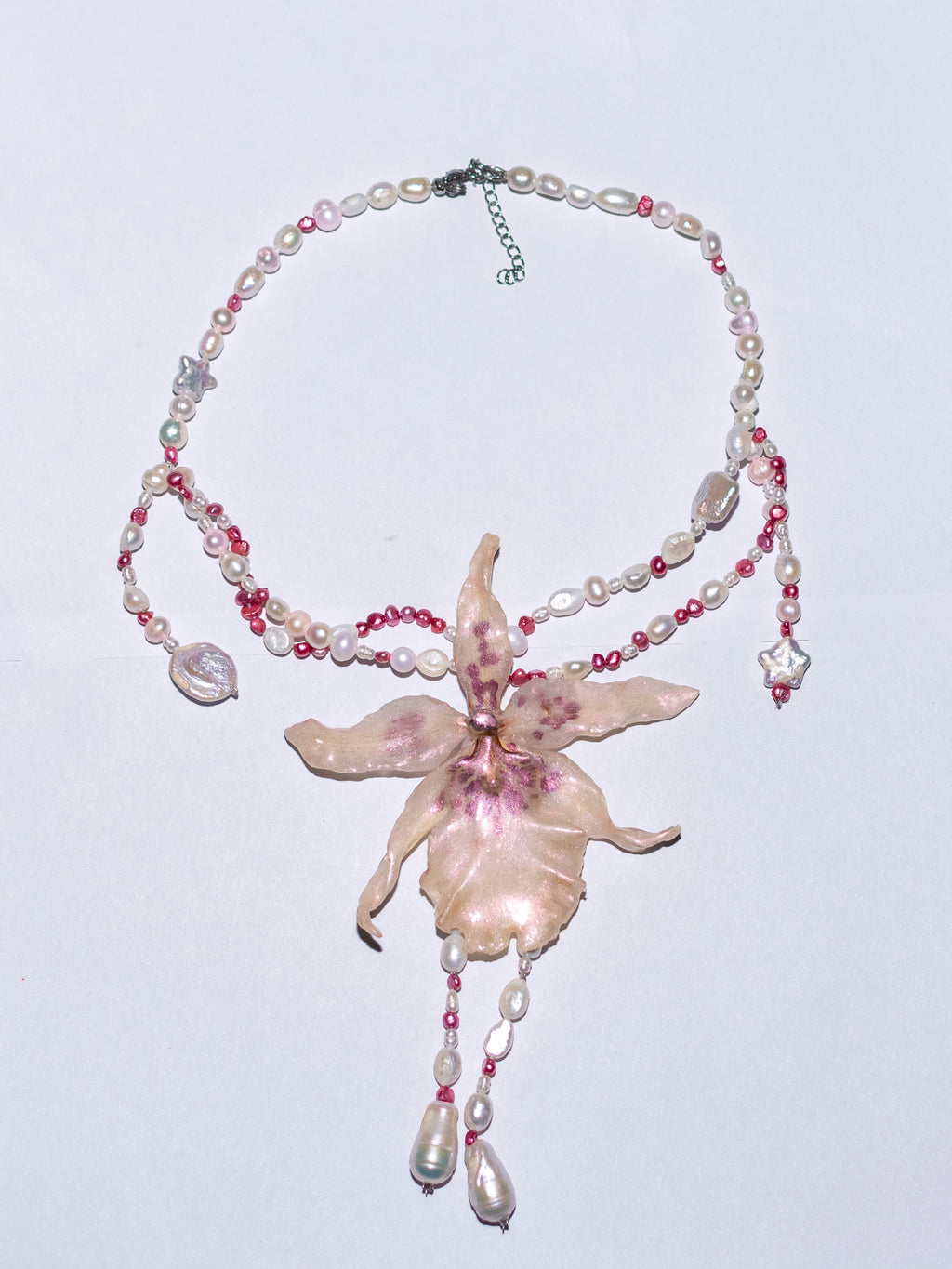 Exotic orchid