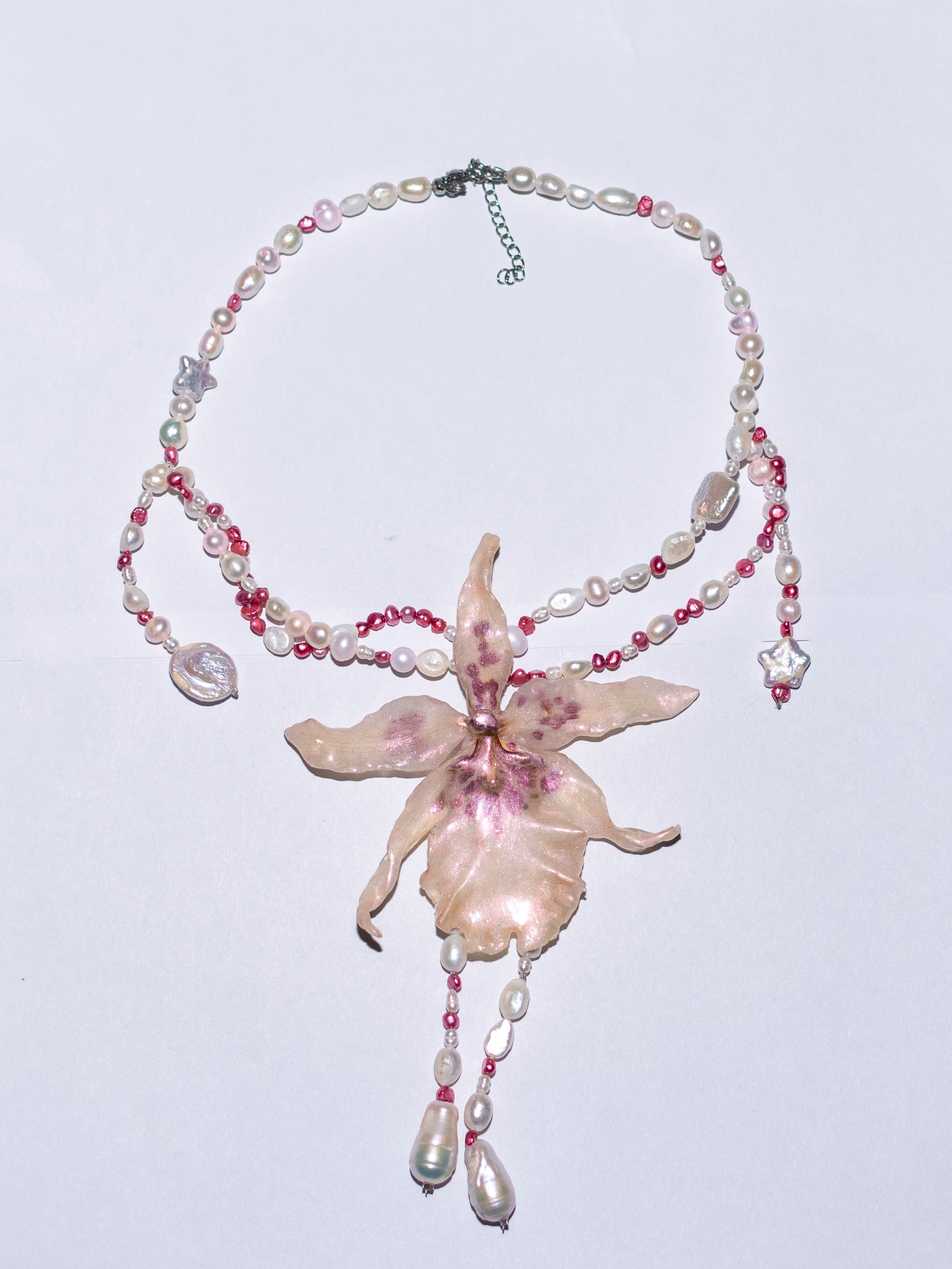 Exotic orchid